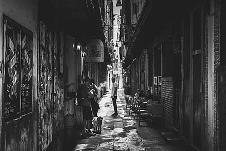 man standing on road in between of hourses thumbnail