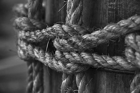 Grayscale Photo of Rope on Log thumbnail
