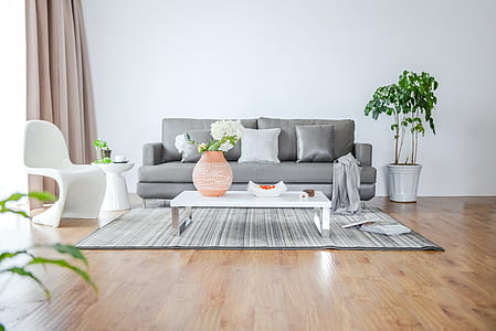grey sofa on living room thumbnail