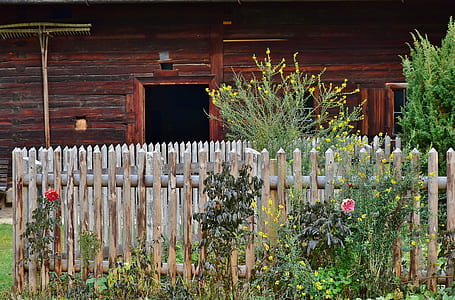green plants in brown wooden fence thumbnail