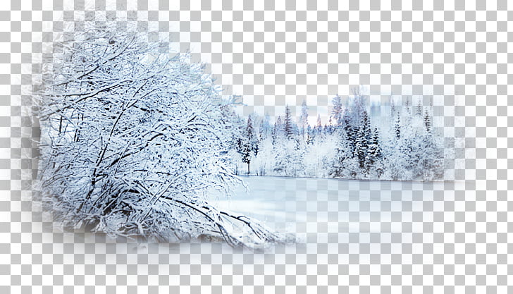 winter desktop photography snow