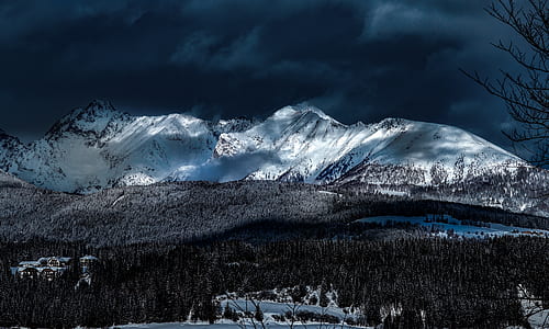 mountain, tree, forest, snow thumbnail