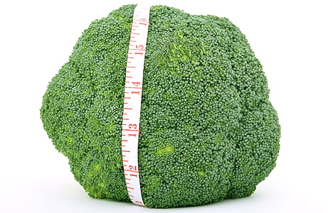 18-inch green broccoli thumbnail