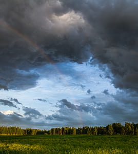 grass and trees under cloudy sky thumbnail