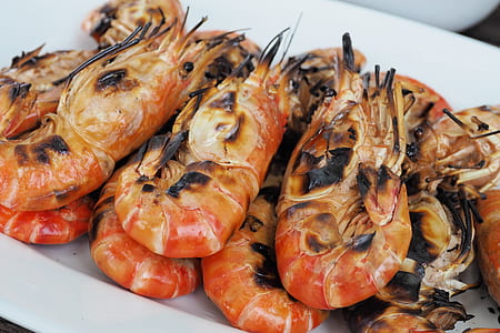 grilled shrimps on white plate thumbnail