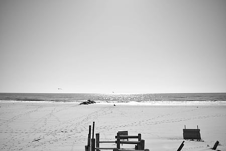 grayscale photography of seashore thumbnail