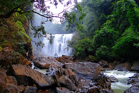 photography of waterfalls in forest thumbnail