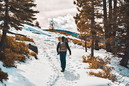 walking man on snow near brown trees at daytime thumbnail