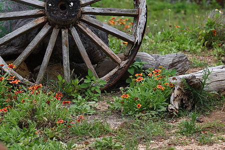 Natural, Countryside thumbnail