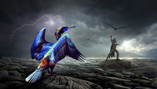 blue and teal bird standing near man in black shirt and black pants digital wallpaper thumbnail