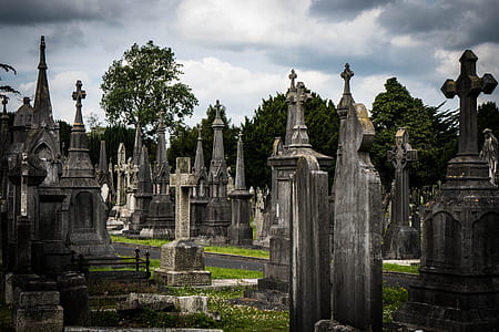 gray concrete cemetery under black sky thumbnail