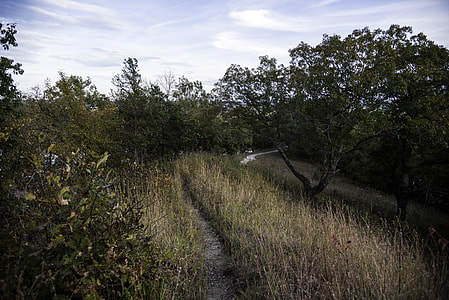 Hiking Trail landscape at Ferry Bluff, Wisconsin thumbnail