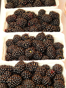 Blackberries, Rubus Sectio Rubus thumbnail