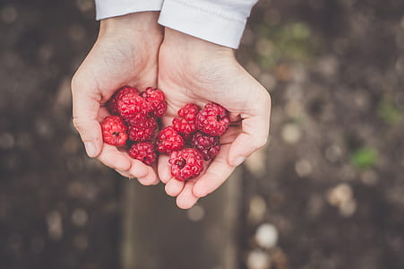 person holding raspberries fruit thumbnail