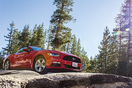 red Ford Mustang coupe on road thumbnail