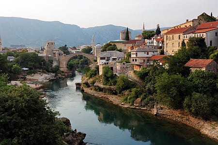 houses beside river thumbnail