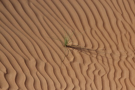 brown sands thumbnail