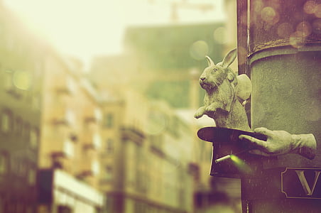 gray rabbit statue on black hat during daytime thumbnail