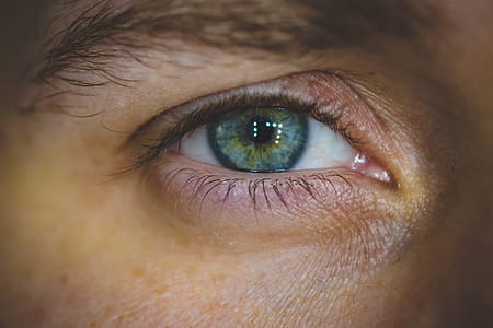 Human Eye thumbnail