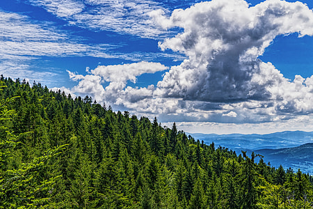 mountains and trees thumbnail