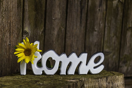 white home free standing letter on top of log thumbnail
