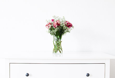 red and white rose with vase on top of white table thumbnail