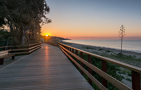 brown wooden pathway between seashore and treeline during golden hour photo thumbnail