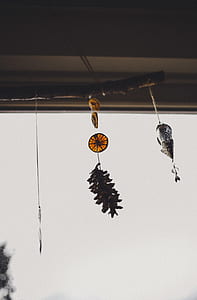 brown pinecone hanging on ceiling thumbnail