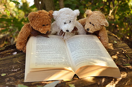 three brown and white bear plush toys with book on brown wooden table thumbnail