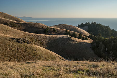 landscape mountain with green trees thumbnail