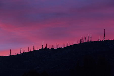 silhouette of forest thumbnail
