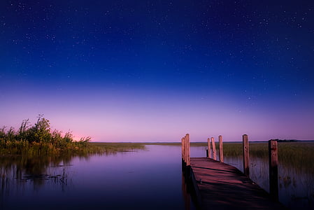 brown wooden bridge on lake thumbnail