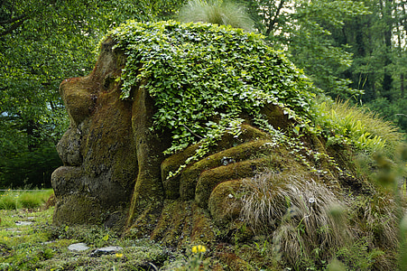 human faced stone with grass in forest at daytime thumbnail