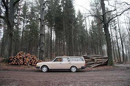 beige station wagon parked near tree logs thumbnail