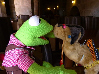 Kermit the Frog plush toy thumbnail
