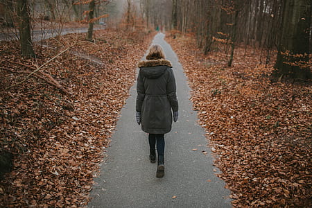 woman walking in the middle of sidewalk near withered trees thumbnail