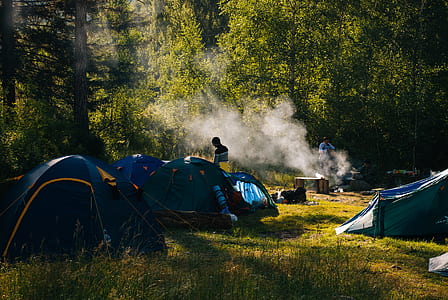 tents surrounded by trees thumbnail