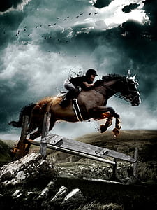 photography of woman ride-on brown horse jumping on rock thumbnail
