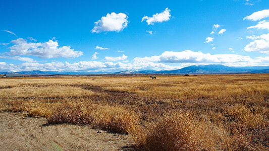 Beautiful Landscape Of Colorado thumbnail