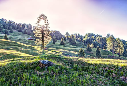 landscape, nature, clouds, field thumbnail