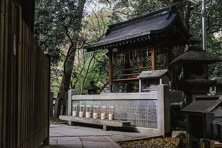 gray and black pagoda temple thumbnail