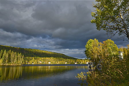 calm body of water near green leafed trees thumbnail