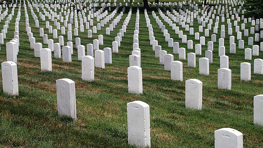 white tombstones lined on cementery thumbnail