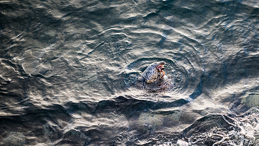 photo of  woman standing on ocean thumbnail