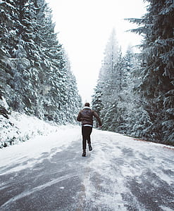 tree, woodland, forest, man, male thumbnail