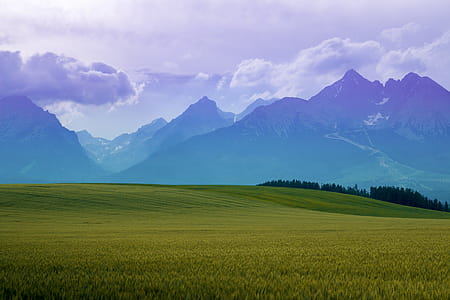 Landscape high mountains. Landscape in the fields at night. thumbnail