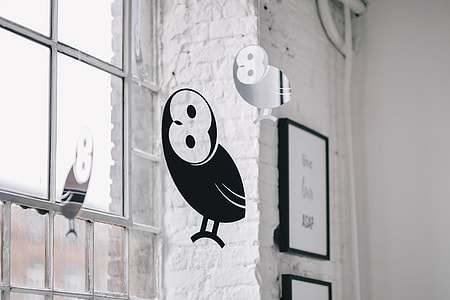 Little black plastic owls hanging from a ceiling thumbnail
