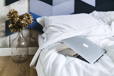 Designer bedroom with an ornamental golden plant in a jar by the bed thumbnail