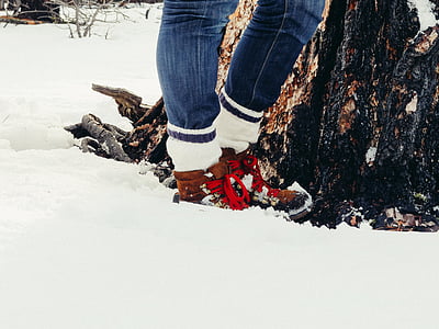 person wearing high-top sneakers standing beside trunk with snow thumbnail
