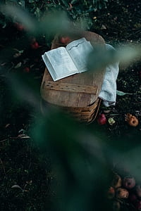 opened book on picnic basket thumbnail